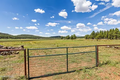 1459 N Transwestern Pump Road, Bellemont, AZ 86015 - Photo 84