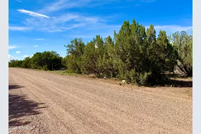 8322 Navajo Drive #-, Show Low, AZ 85901 - Photo 6