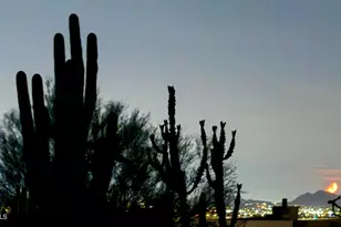 25150 N 96th St, Scottsdale, AZ 85255 - Photo 44