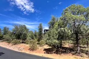 2810 E Coyote Mint Cir, Payson, AZ 85541 - Photo 1