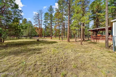 2032 Bald Eagle Court, Overgaard, AZ 85933 - Photo 4