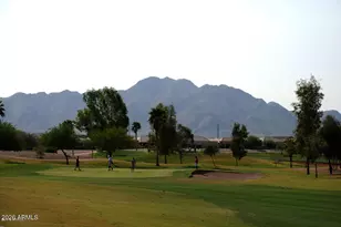 3043 E Peach Tree Dr, Chandler, AZ 85249 - Photo 42