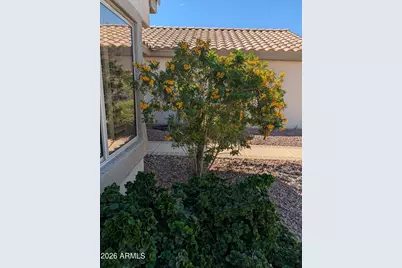 16225 W Tapatio Drive, Surprise, AZ 85374 - Photo 30
