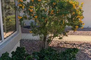 16225 W Tapatio Dr, Surprise, AZ 85374 - Photo 30