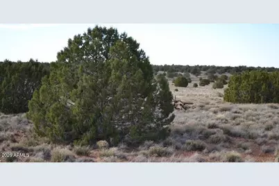 105 County Rd N9191 -- #-, Concho, AZ 85924 - Photo 12