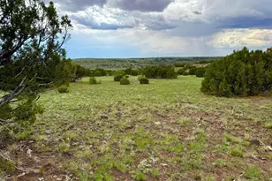 116 County Rd 8127, Concho, AZ 85924 - Photo 1