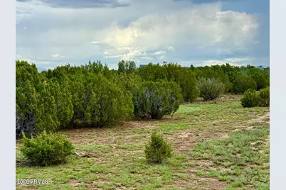 116 Co Rd 8127 -- #-, Concho, AZ 85924 - Photo 2