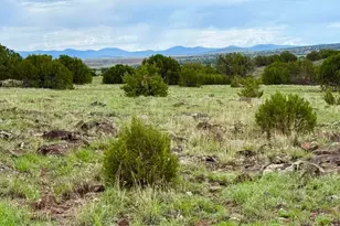 108 County Rd 8127, Concho, AZ 85924 - Photo 1