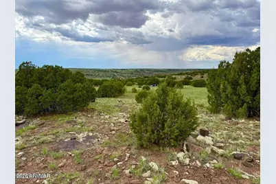 83 Co Rd 8128 -- #-, Concho, AZ 85924 - Photo 1