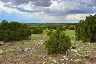 83 Co Rd 8128 --, Concho, AZ 85924 - Photo 1