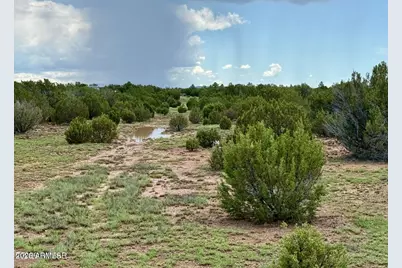 83 Co Rd 8128 -- #-, Concho, AZ 85924 - Photo 4