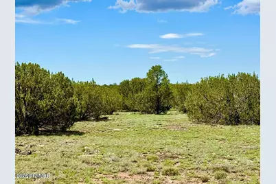 83 Co Rd 8128 -- #-, Concho, AZ 85924 - Photo 12