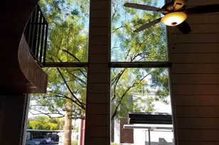 385 W Pierson St, Phoenix, AZ 85013 - Photo 6