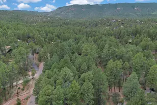 6368 W Sharyn Rd, Pine, AZ 85544 - Photo 46