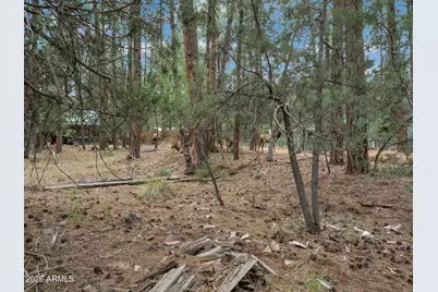 6368 W Sharyn Road, Pine, AZ 85544 - Photo 28