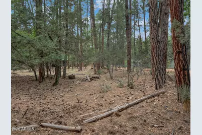 6368 W Sharyn Road, Pine, AZ 85544 - Photo 26