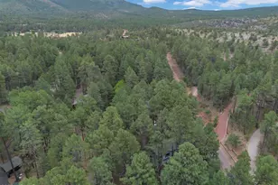 6368 W Sharyn Rd, Pine, AZ 85544 - Photo 48