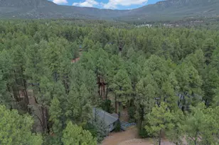 6368 W Sharyn Rd, Pine, AZ 85544 - Photo 42