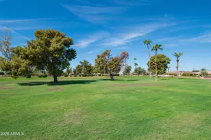 9723 W Briarwood Cir, Sun City, AZ 85351 - Photo 38