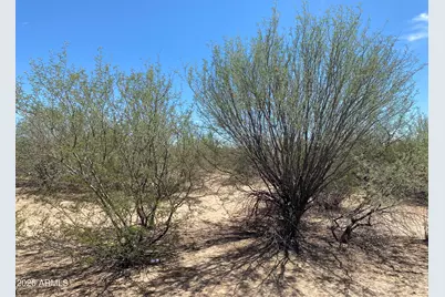6515 N Trico Road #-, Marana, AZ 85653 - Photo 14