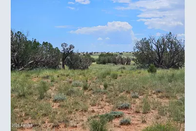 1924 Hutch Road #39, Heber, AZ 85928 - Photo 1