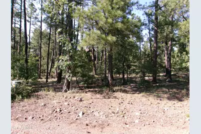 301 E Huckleberry Lane #032/033/ 034/035/036, Show Low, AZ 85901 - Photo 6