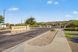 2923 E Constance Wy, Phoenix, AZ 85042 - Photo 26