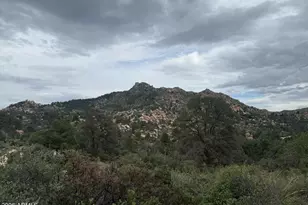 52116 N Hutton Peak Rd, Miami, AZ 85539 - Photo 6