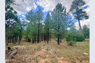 1601 Mule Deer Place #120, Happy Jack, AZ 86024 - Photo 6