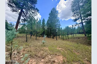 1601 Mule Deer Place #120, Happy Jack, AZ 86024 - Photo 8