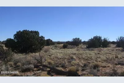 Lot 537 Chevelon Canyon Ranch Lot 537 -- #537, Heber, AZ 85928 - Photo 2