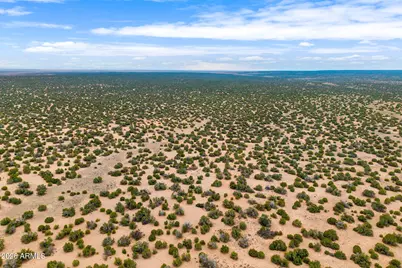 Lot 3 Witch Well Ranches -- #3, Saint Johns, AZ 85936 - Photo 12