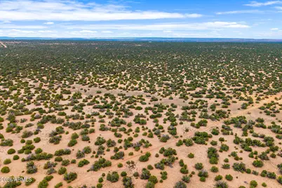 Lot 3 Witch Well Ranches -- #3, Saint Johns, AZ 85936 - Photo 10