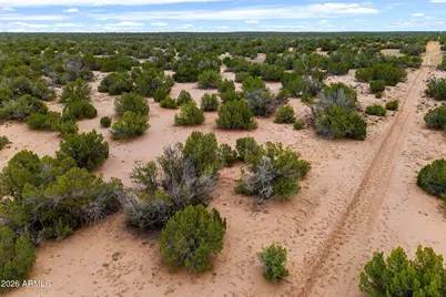 Lot 3 Witch Well Ranches -- #3, Saint Johns, AZ 85936 - Photo 4