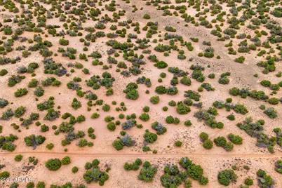 Lot 3 Witch Well Ranches -- #3, Saint Johns, AZ 85936 - Photo 16