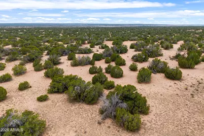 Lot 3 Witch Well Ranches -- #3, Saint Johns, AZ 85936 - Photo 2