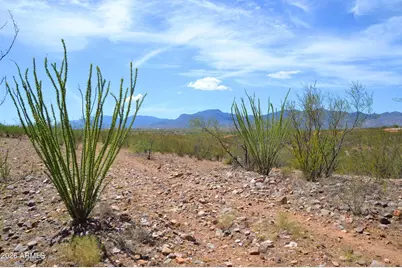 3Xx W Lonely Dove Pl -- #11, Huachuca City, AZ 85616 - Photo 14