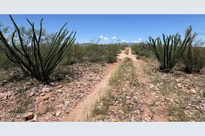 3Xx W Lonely Dove Pl -- #11, Huachuca City, AZ 85616 - Photo 12