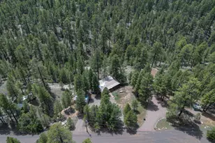 590 Jacks Canyon Dr, Happy Jack, AZ 86024 - Photo 38