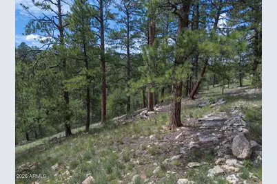 590 Jacks Canyon Drive, Happy Jack, AZ 86024 - Photo 24