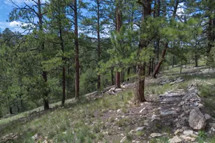 590 Jacks Canyon Dr, Happy Jack, AZ 86024 - Photo 24