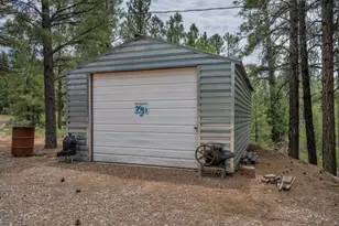 590 Jacks Canyon Dr, Happy Jack, AZ 86024 - Photo 2