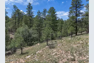 590 Jacks Canyon Drive, Happy Jack, AZ 86024 - Photo 28