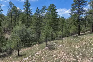 590 Jacks Canyon Dr, Happy Jack, AZ 86024 - Photo 28