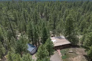 590 Jacks Canyon Dr, Happy Jack, AZ 86024 - Photo 34