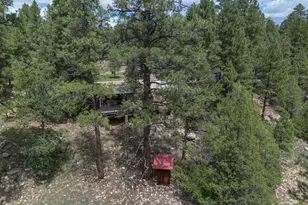 590 Jacks Canyon Dr, Happy Jack, AZ 86024 - Photo 32