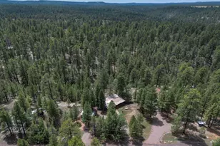 590 Jacks Canyon Dr, Happy Jack, AZ 86024 - Photo 36