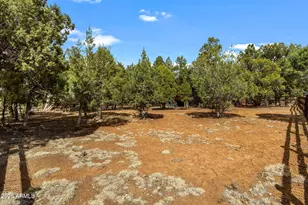 1800 N Bison Ct, Show Low, AZ 85901 - Photo 24
