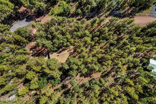 1438 Hill Dr, Pinetop, AZ 85935 - Photo 38