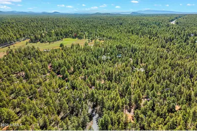 1438 Hill Drive, Pinetop, AZ 85935 - Photo 42